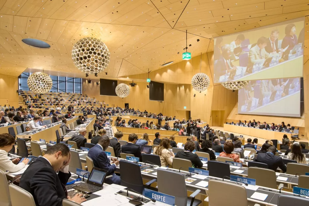 WIPO-PLENARY (2).jpg