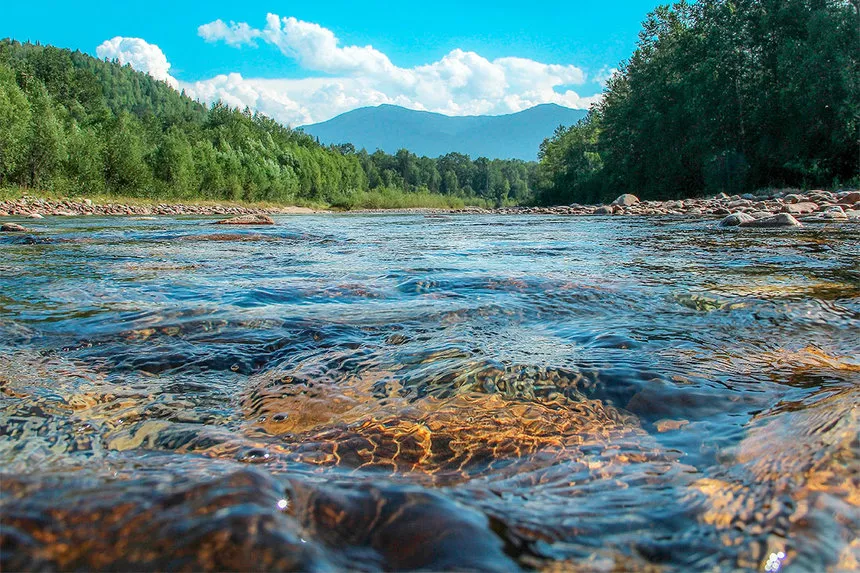 оспоренное право на товарный знак bajkalskij-gosudarstvennyj-prirodnyj-biosfernyj-zapovednik-860x-fea.jpg